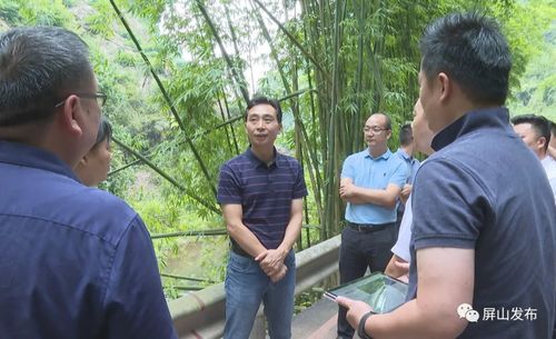 代軍深入龍華鎮(zhèn)調(diào)研指導(dǎo)，聚焦旅游項(xiàng)目開發(fā)新藍(lán)圖